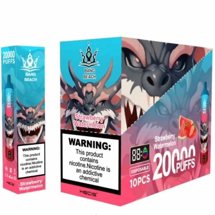 BANG BEACH 20000 puff