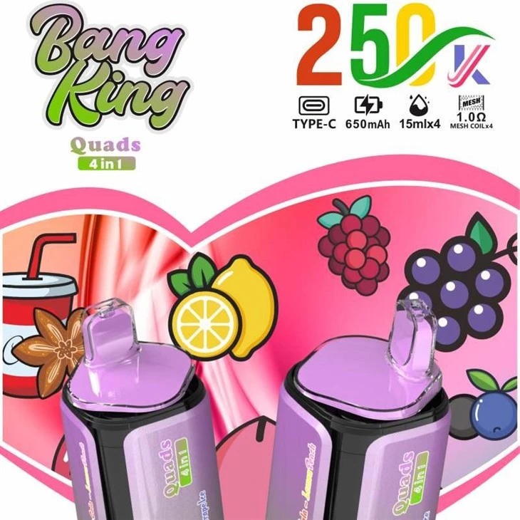 BANG KING Quads 250000 4IN1 suppliers