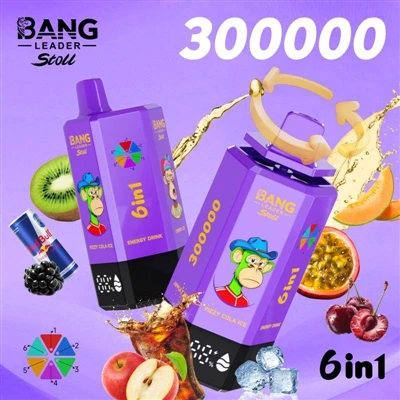 Bang Leader 300000: The Complete Form Of The Next Generation of Disposable E-...