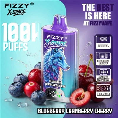 Fizzy 100K X Space: Det er ikke noe bemerkelsesverdig for en enhet som varer ...
