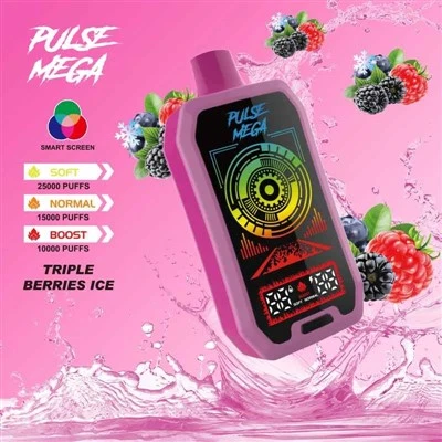 R&M PULSE MEGA 25000 Puffs