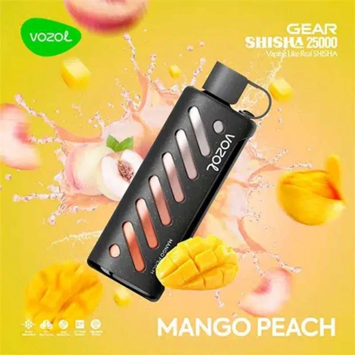 Mango-Peach_VOZOL GEAR SHISHA 25000