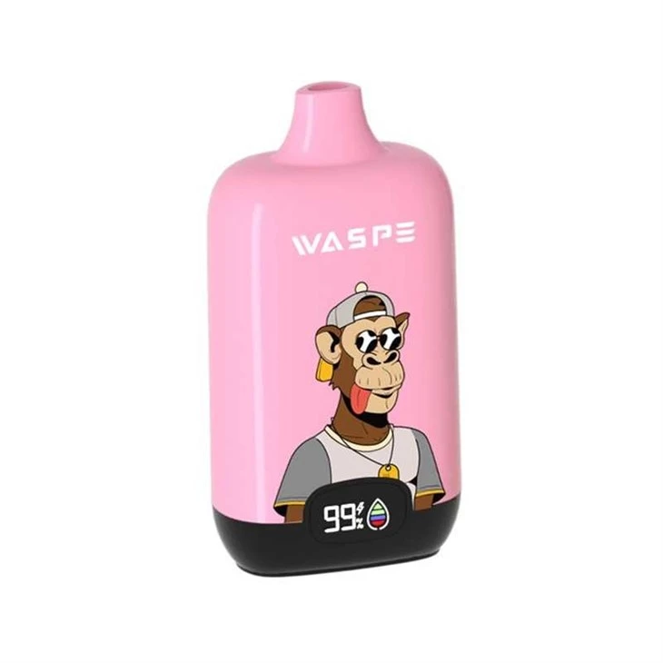 WASPE Digital Box 12000 19 WASPE Digital Box 12000 19